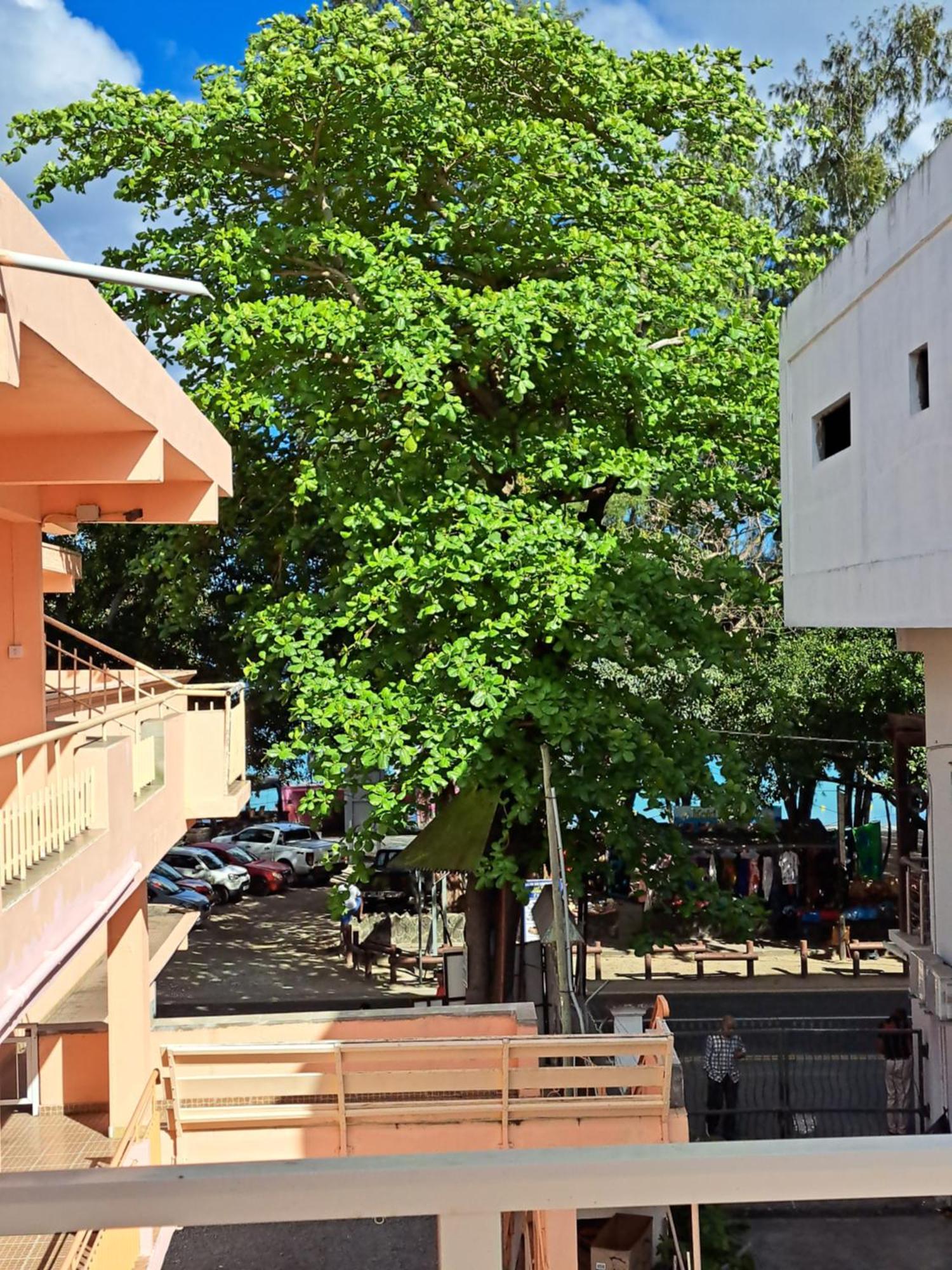 Bano Beach Residence - Grand Bay Beach Exterior photo
